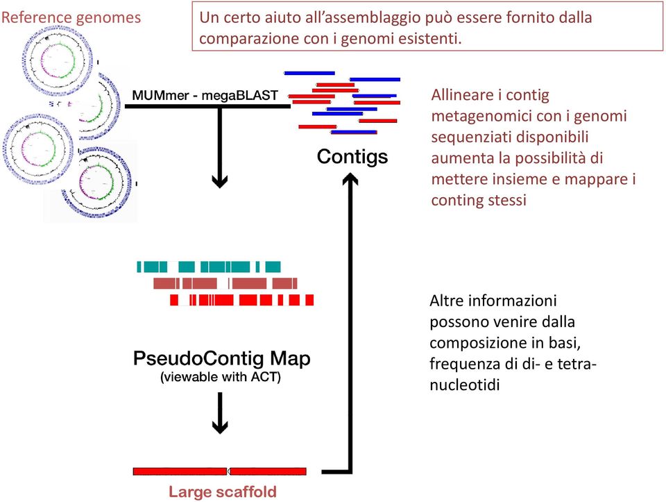 Allineare i contig metagenomici con i genomi sequenziati disponibili aumenta la