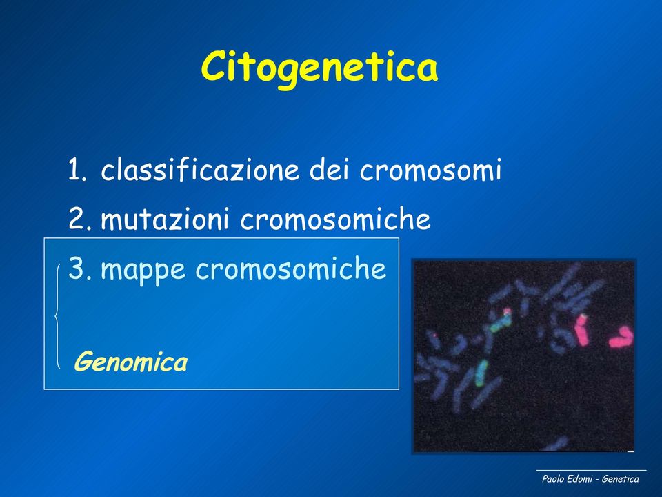 cromosomi 2.