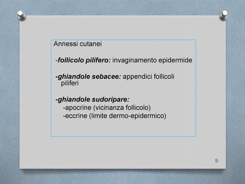 piliferi -ghiandole sudoripare: -apocrine