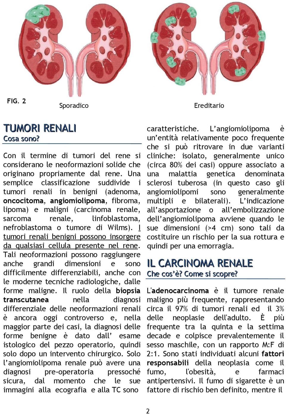 I tumori renali benigni possono insorgere da qualsiasi cellula presente nel rene.