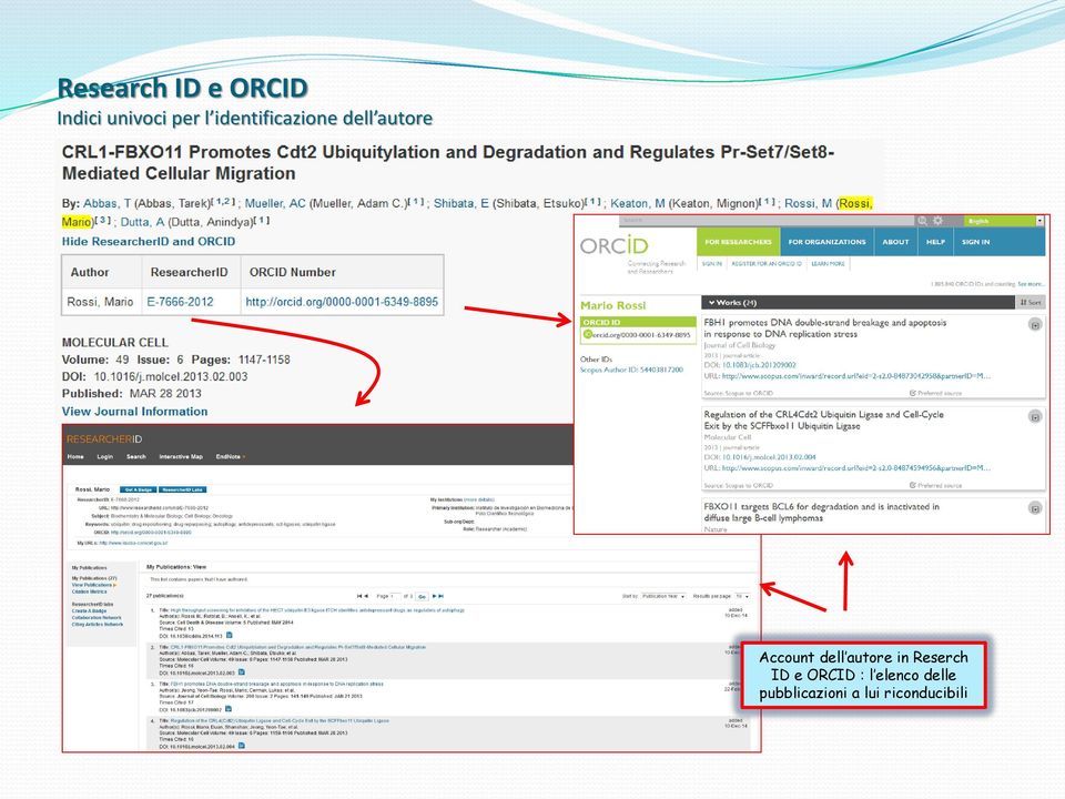 autore in Reserch ID e ORCID : l elenco