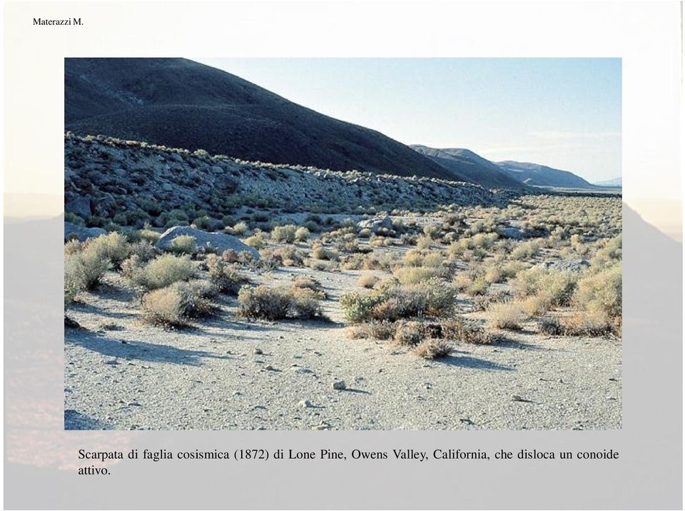 Pine, Owens Valley,