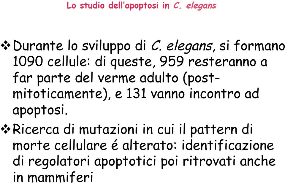 (postmitoticamente), e 131 vanno incontro ad apoptosi.