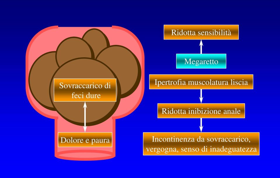 Ridotta inibizione anale Dolore e paura