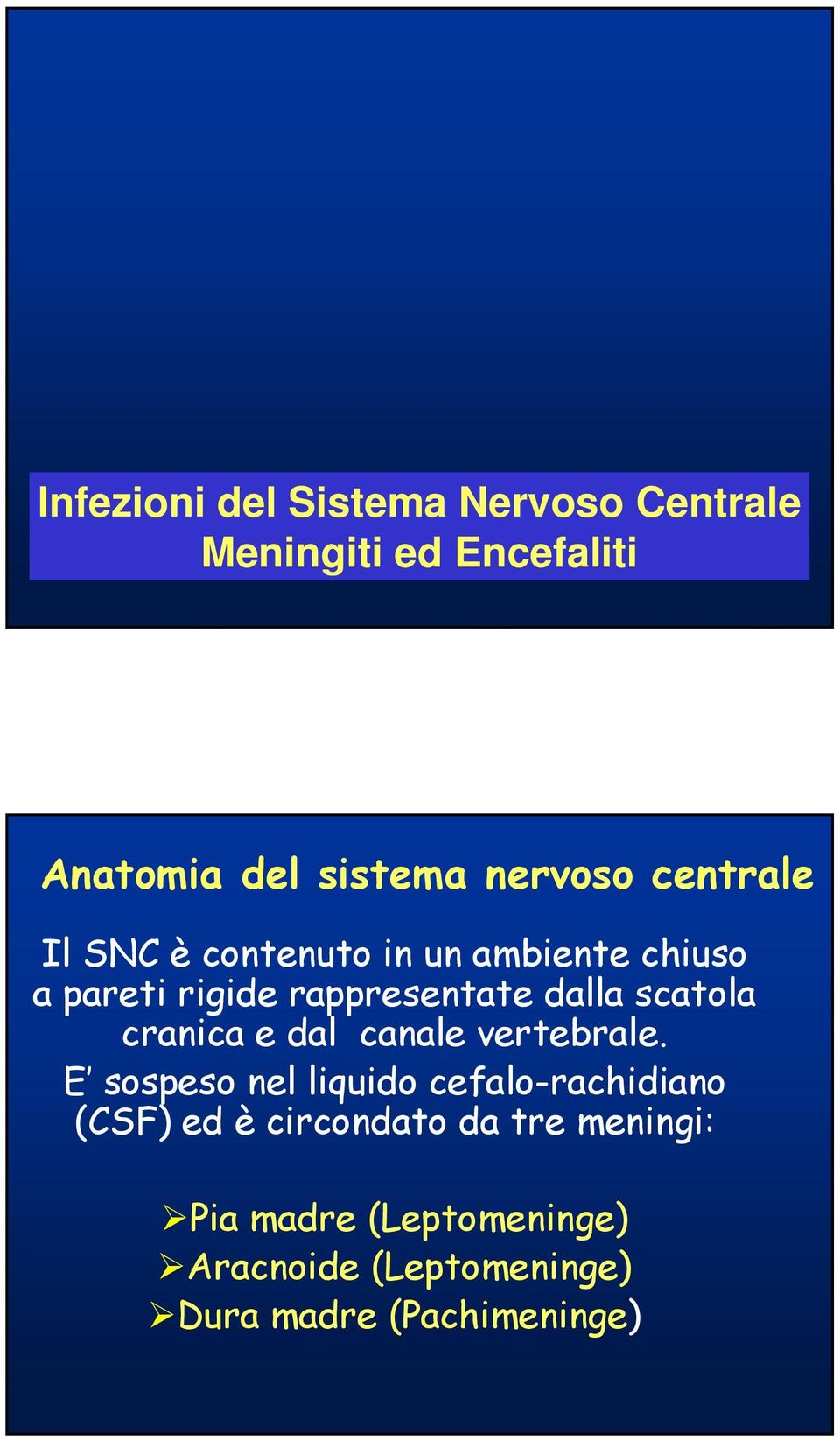 scatola cranica e dal canale vertebrale.