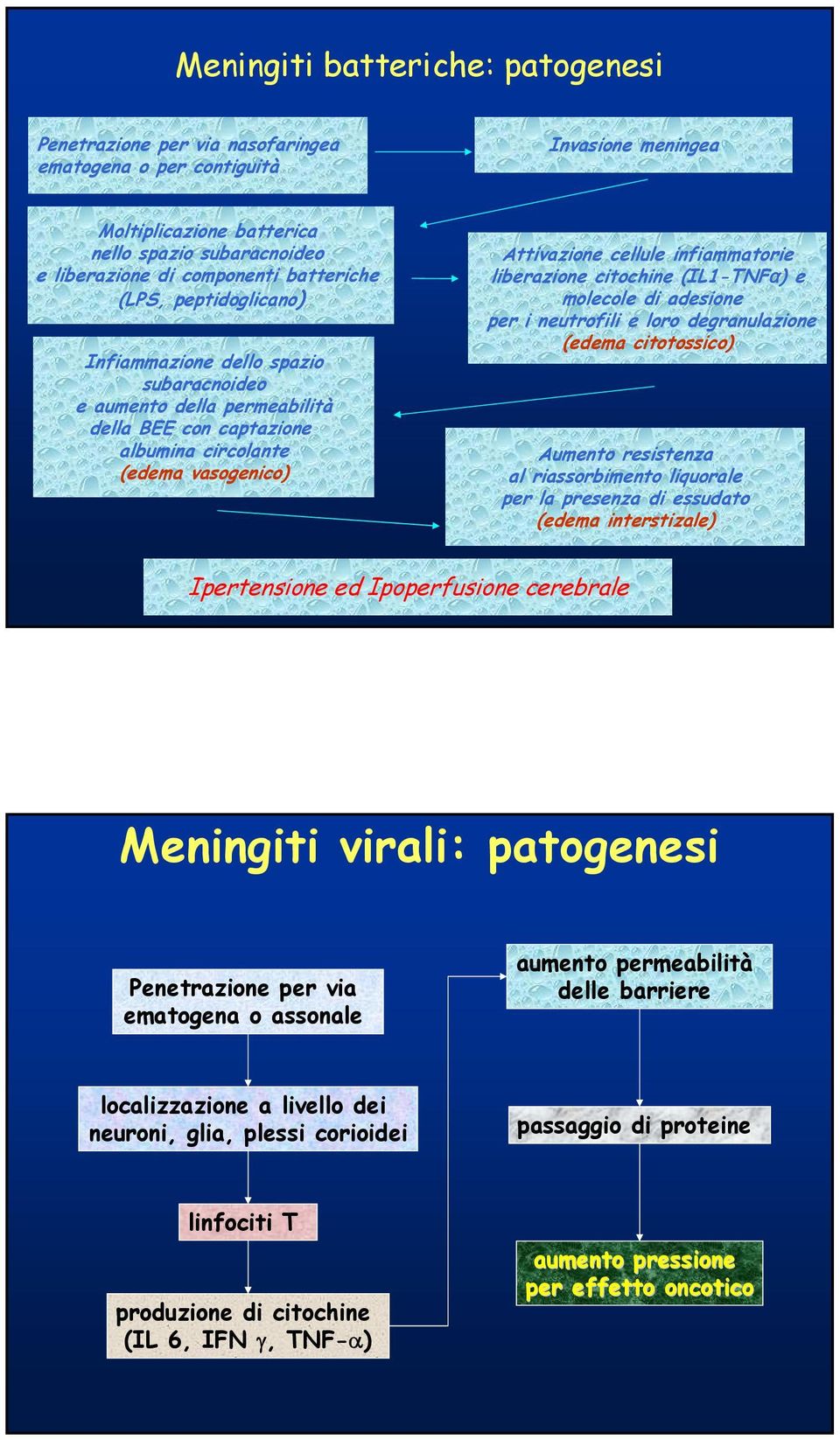 infiammatorie liberazione citochine (IL1-TNFα) e molecole di adesione per i neutrofili e loro degranulazione (edema citotossico) Aumento resistenza al riassorbimento liquorale per la presenza di