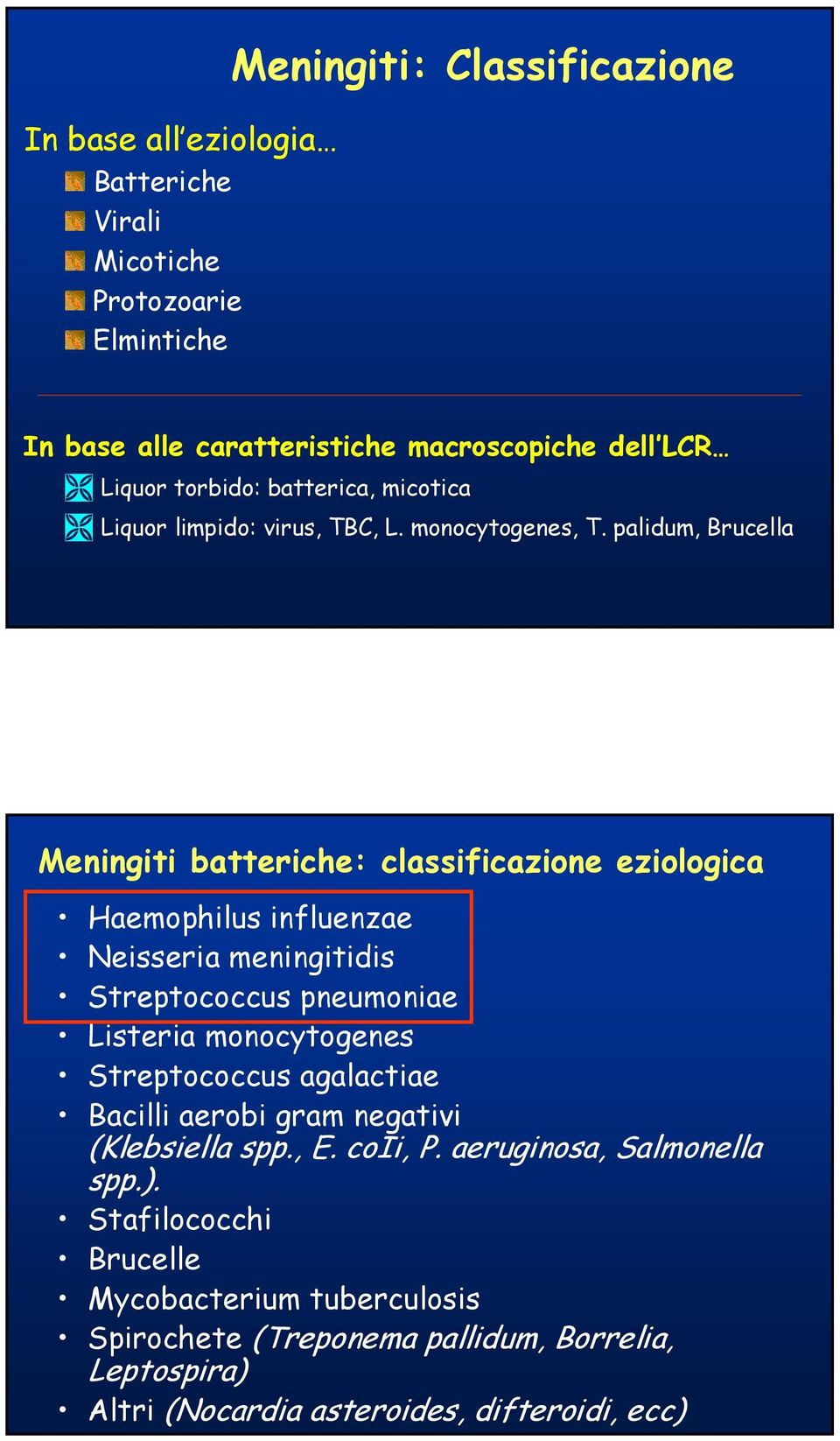 palidum, Brucella Meningiti batteriche: classificazione eziologica Haemophilus influenzae Neisseria meningitidis Streptococcus pneumoniae Listeria monocytogenes