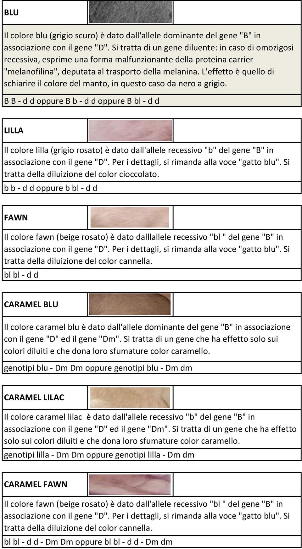 L'effetto è quello di schiarire il colore del manto, in questo caso da nero a grigio.