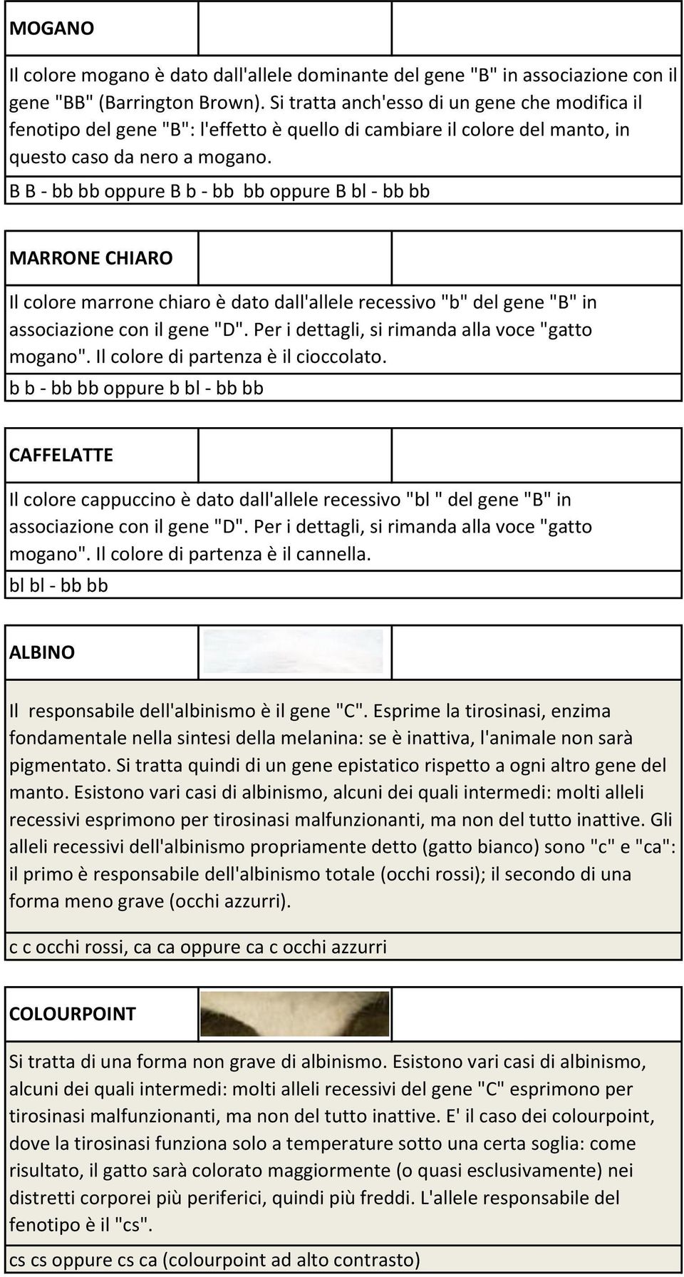 B B - bb bb oppure B b - bb bb oppure B bl - bb bb MARRONE CHIARO Il colore marrone chiaro è dato dall'allele recessivo "b" del gene "B" in associazione con il gene "D".