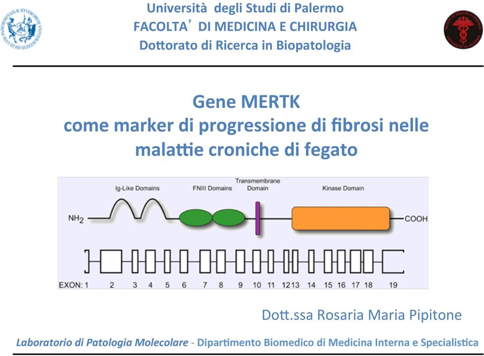 nelle mala8e croniche di fegato Do$.