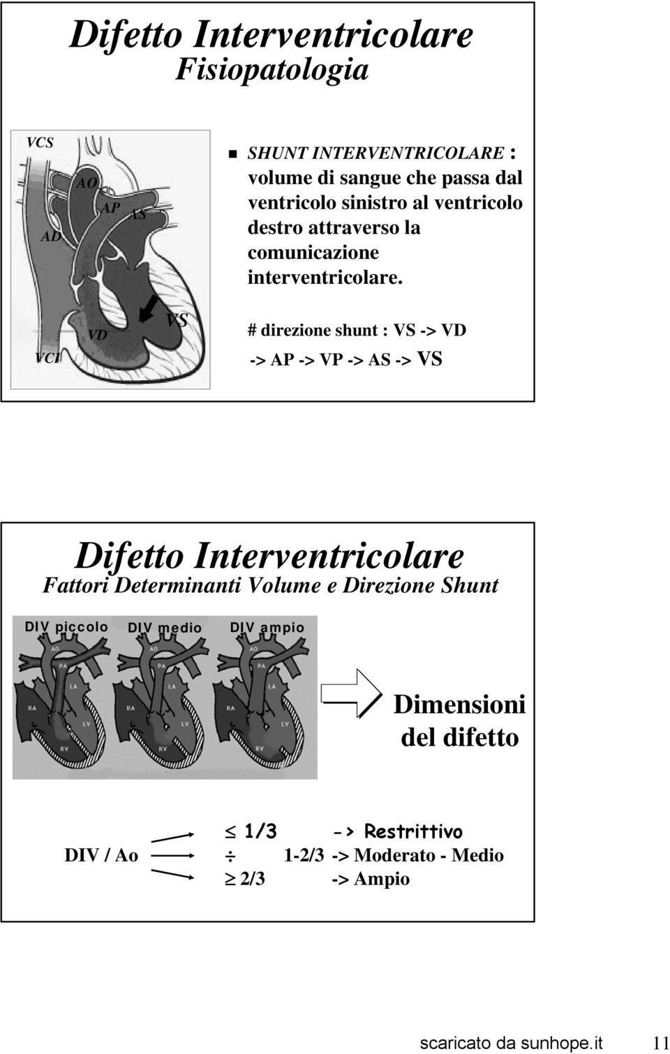 VCI VD VS # direzione shunt : VS -> VD -> AP -> VP -> AS -> VS Difetto Interventricolare Fattori Determinanti