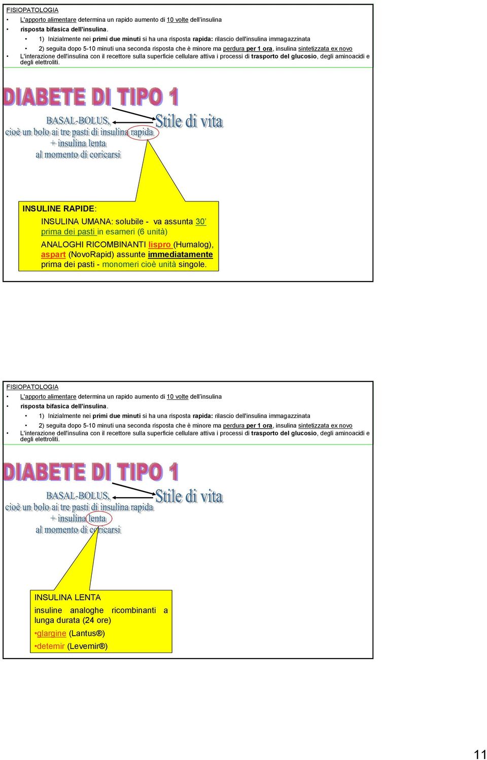 immediatamente prima dei pasti - monomeri cioè unità singole.