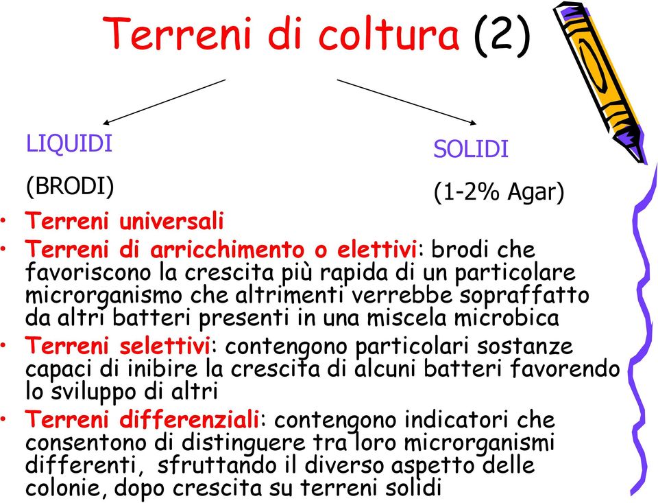 contengono particolari sostanze capaci di inibire la crescita di alcuni batteri favorendo lo sviluppo di altri Terreni differenziali: contengono