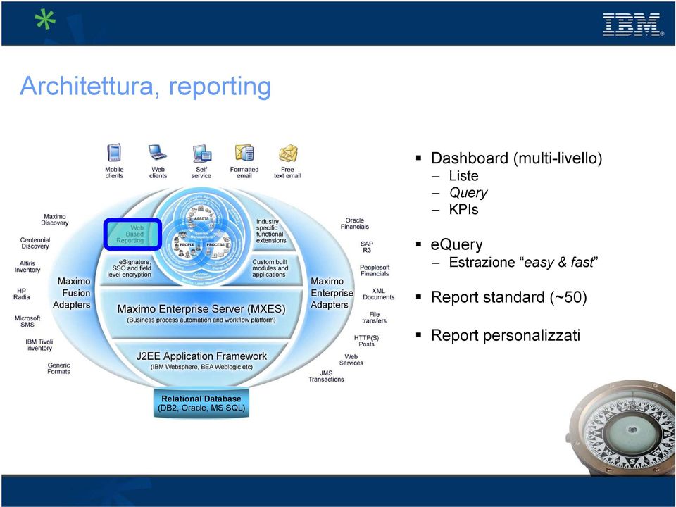 Report standard (~50) Report personalizzati