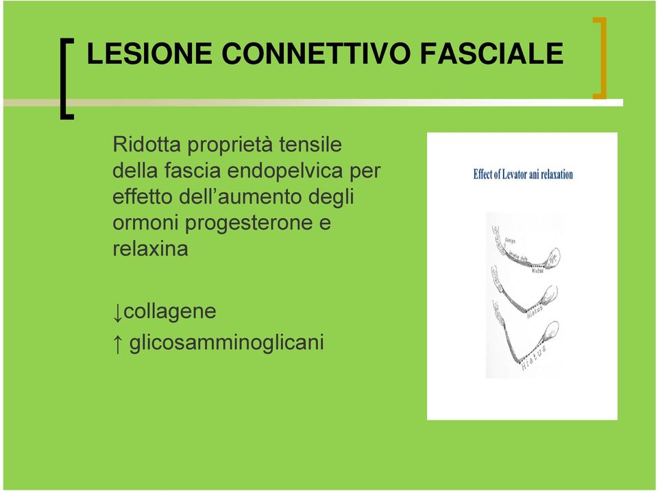 per effetto dell aumento degli ormoni