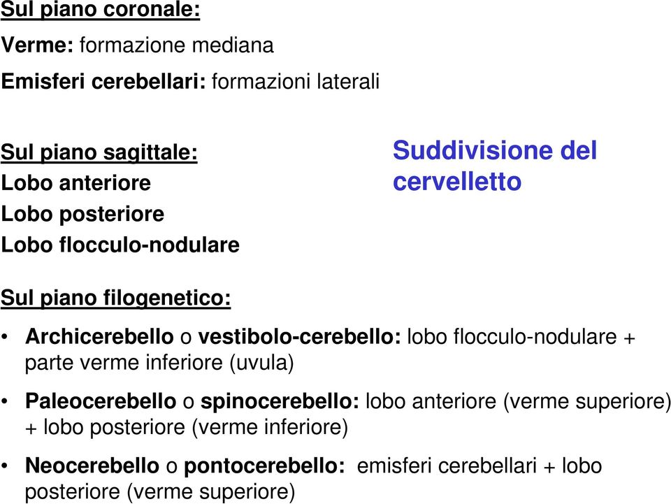 vestibolo-cerebello: lobo flocculo-nodulare + parte verme inferiore (uvula) Paleocerebello o spinocerebello: lobo anteriore
