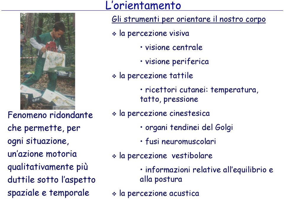 un azione motoria qualitativamente più duttile sotto l aspetto spaziale e temporale la percezione cinestesica organi