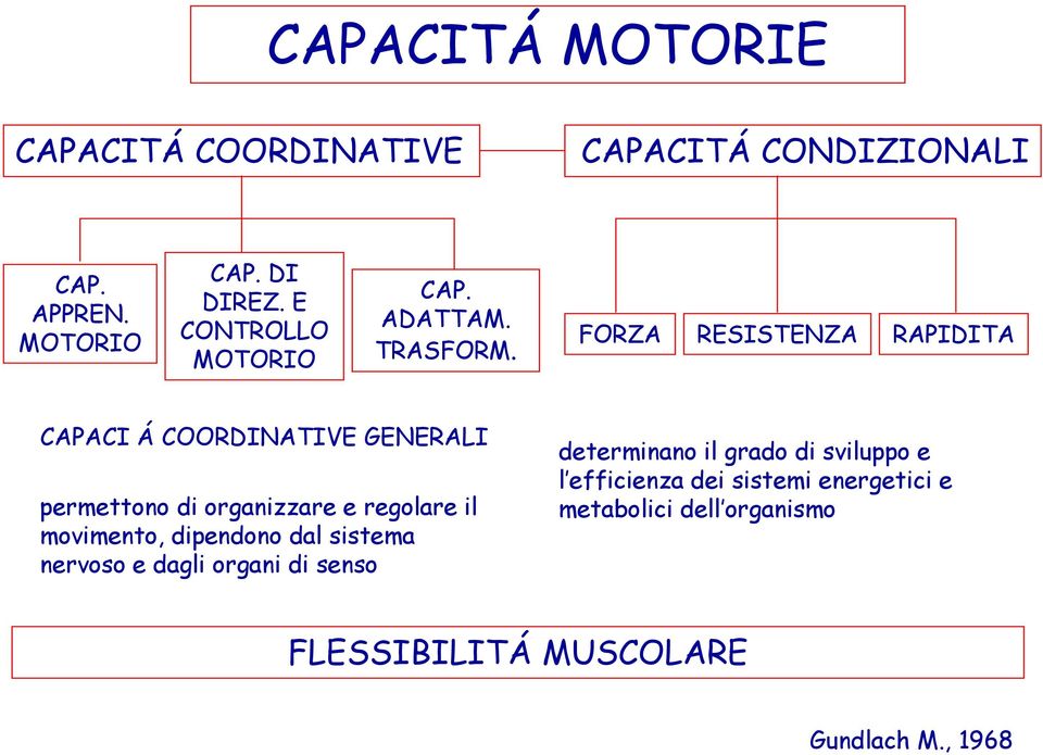 FORZA RESISTENZA RAPIDITA CAPACI Á COORDINATIVE GENERALI permettono di organizzare e regolare il movimento,