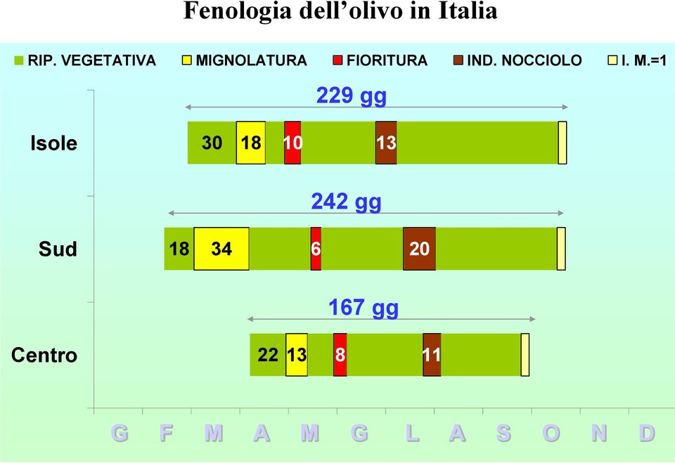 NOCCIOLO I. M.