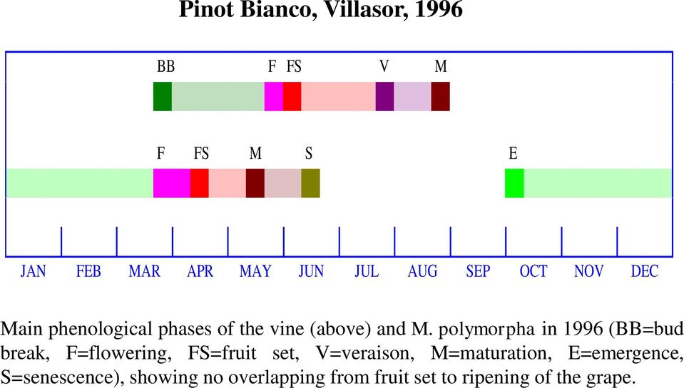 polymorpha in 1996 (BB=bud break, F=flowering, FS=fruit set, V=veraison,
