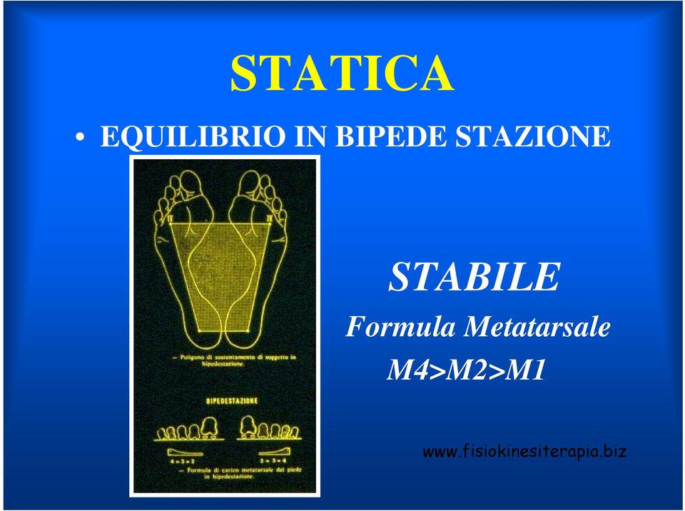 Formula Metatarsale