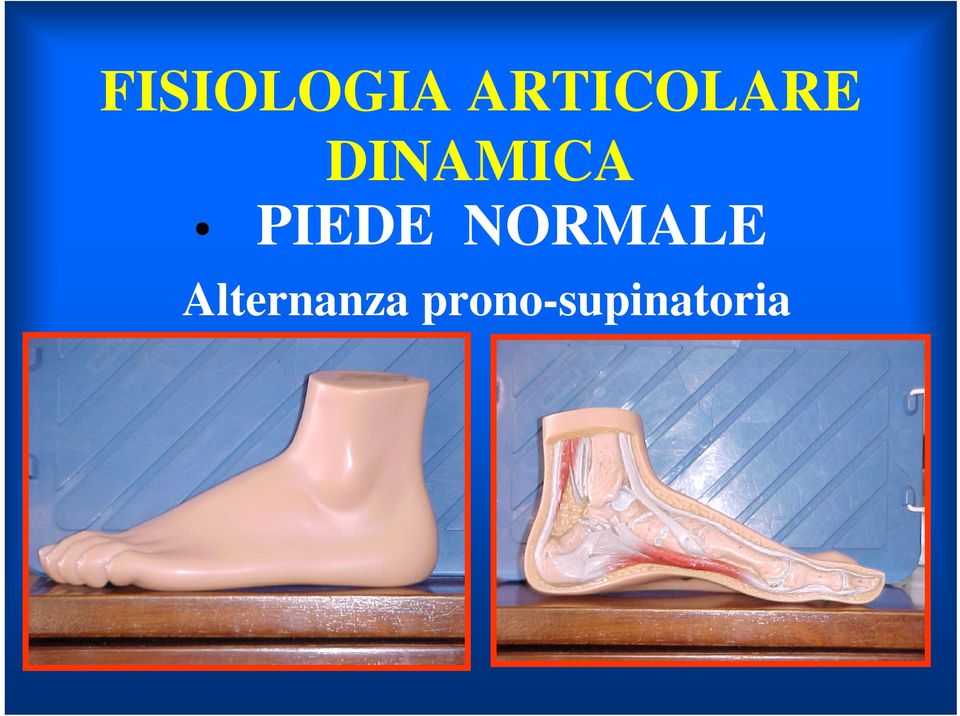 DINAMICA PIEDE