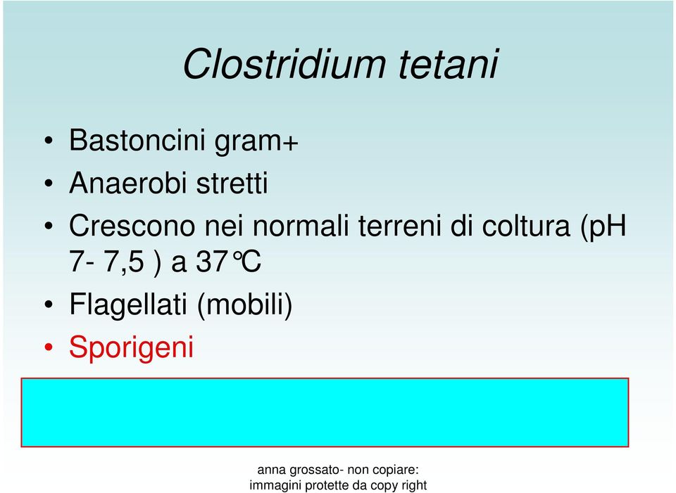 (ph 7-7,5 ) a 37 C Flagellati (mobili)