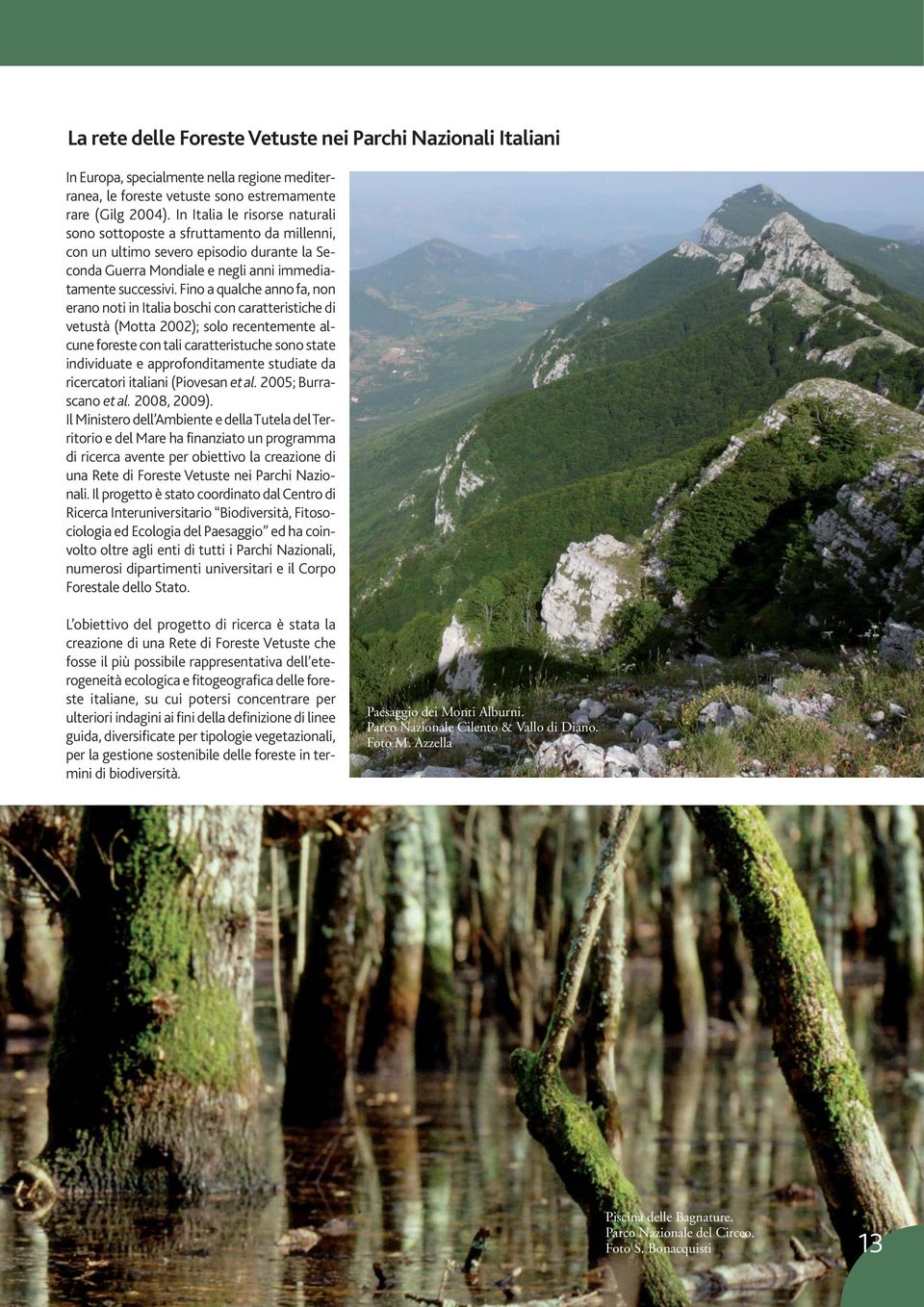Fino a qualche anno fa, non erano noti in Italia boschi con caratteristiche di vetustà (Motta 2002); solo recentemente alcune foreste con tali caratteristuche sono state individuate e