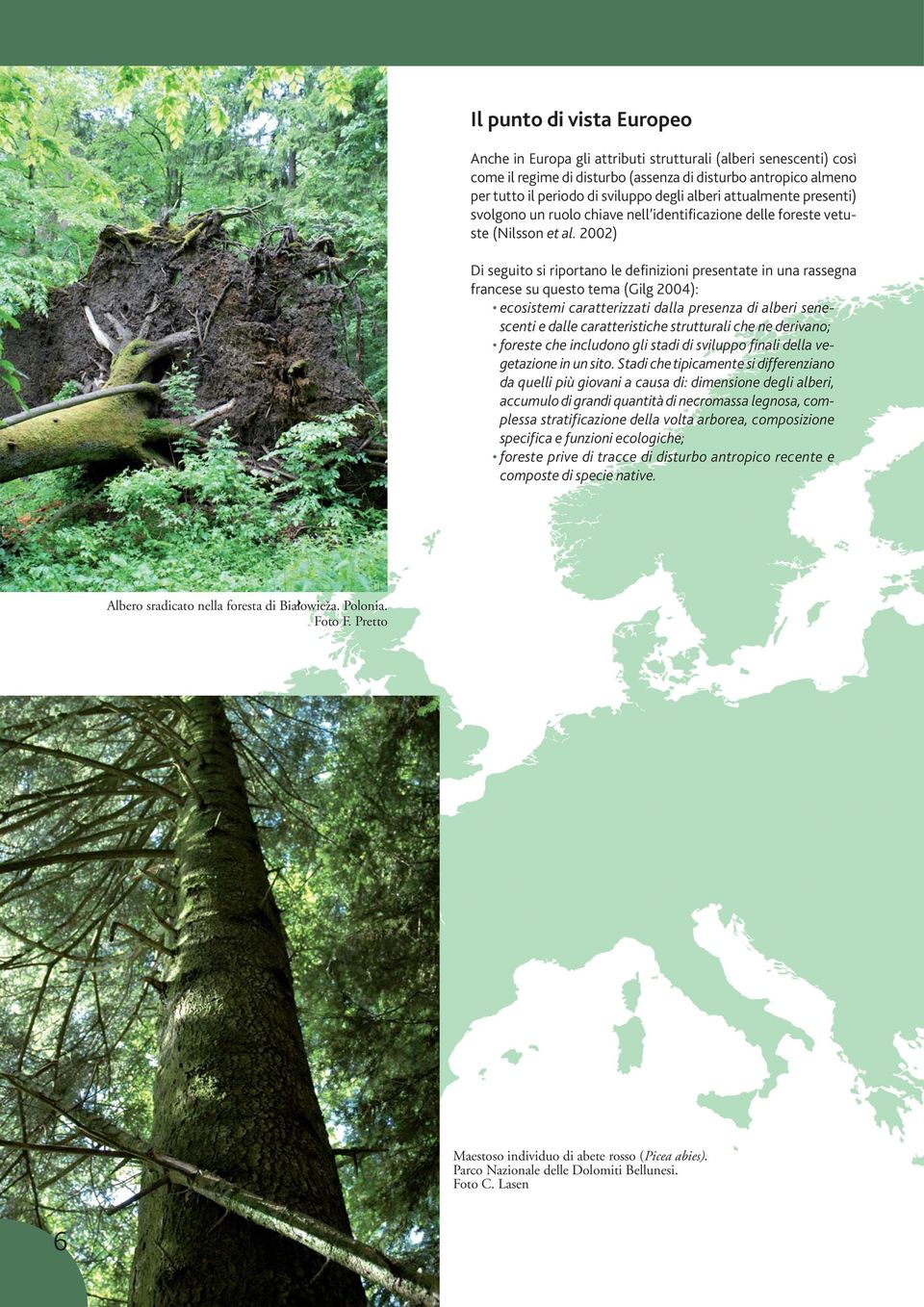 2002) Di seguito si riportano le definizioni presentate in una rassegna francese su questo tema (Gilg 2004): ecosistemi caratterizzati dalla presenza di alberi senescenti e dalle caratteristiche