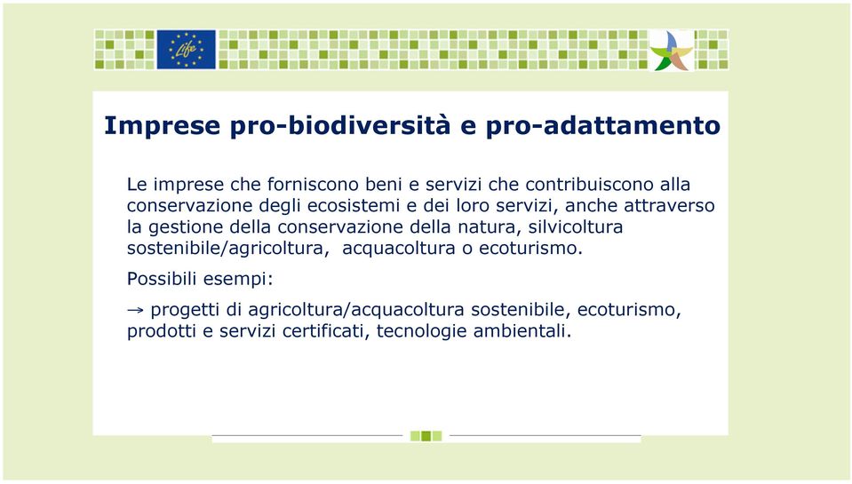 della natura, silvicoltura sostenibile/agricoltura, acquacoltura o ecoturismo.