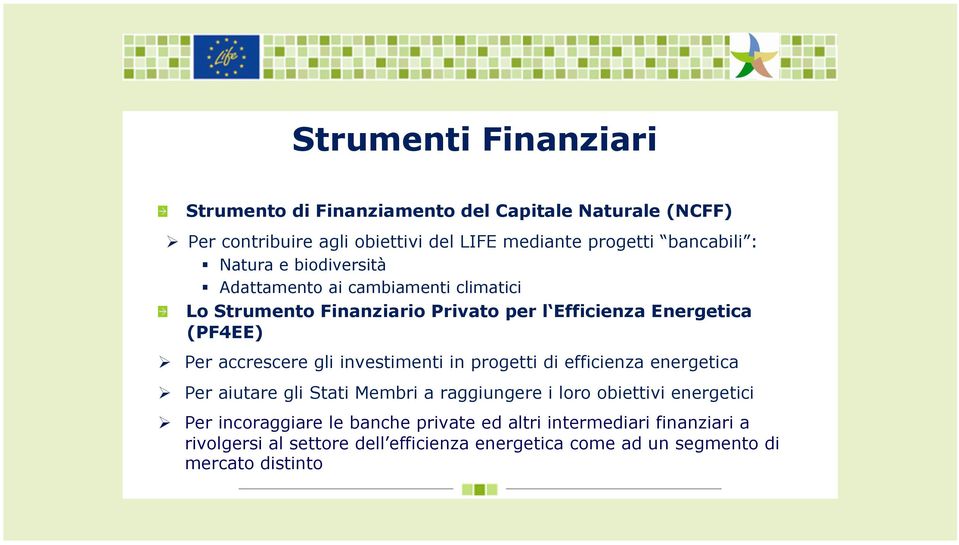 Finanziario Privato per l Efficienza Energetica (PF4EE)! Per accrescere gli investimenti in progetti di efficienza energetica!