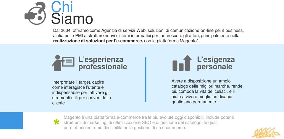 L esperienza professionale L esigenza personale Interpretare il target, capire come interagisce l utente è indispensabile per attivare gli strumenti utili per convertirlo in cliente.