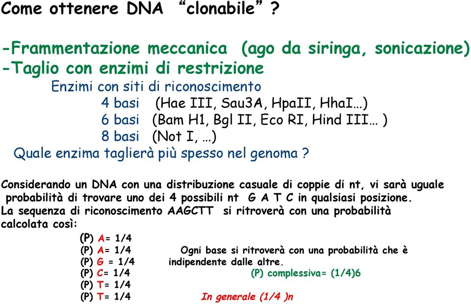 II, Eco RI, Hind III ) 8 basi (Not I, ) Quale enzima taglierà più spesso nel genoma?