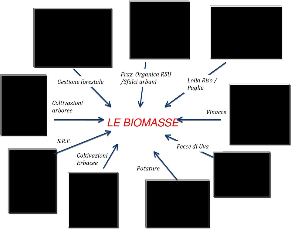 BIOMASSE Lolla Riso / Paglie Vinacce S.R.F.