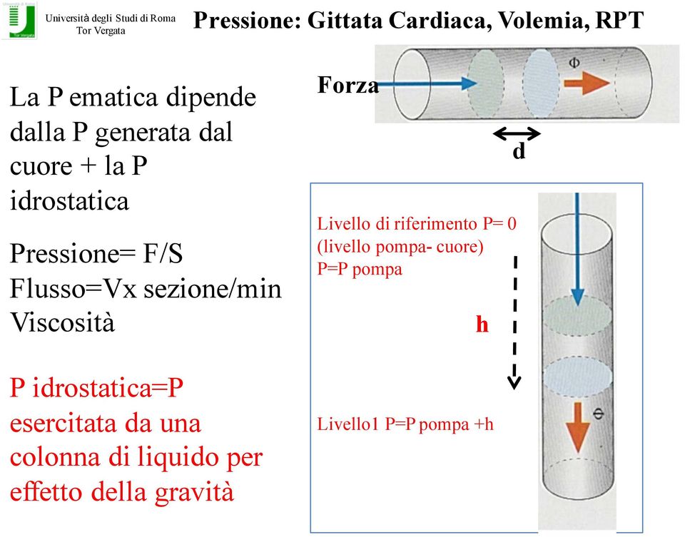 idrostatica=p esercitata da una colonna di liquido per effetto della gravità