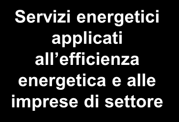 Il Gestore dei Servizi Energetici GSE S.p.A.