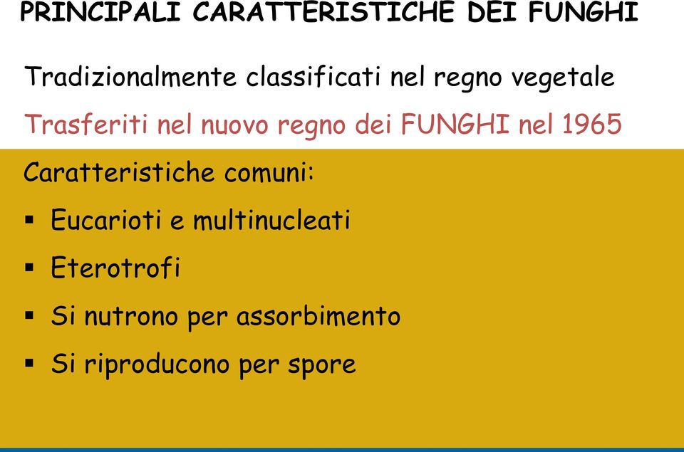 dei FUNGHI nel 1965 Caratteristiche comuni: Eucarioti e