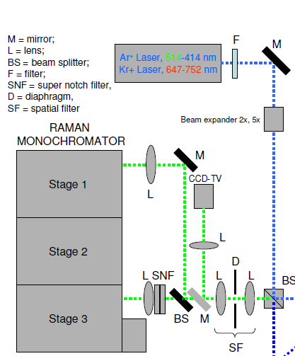 Raman setup (Mario Santoro,