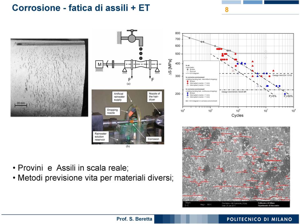 Assili in scala reale;