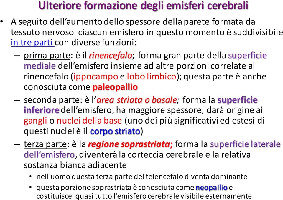 conosciuta come paleopallio seconda parte: è l area striata o basale; forma la superficie inferiore dell emisfero, ha maggiore spessore, darà origine ai gangli o nuclei della base (uno dei più