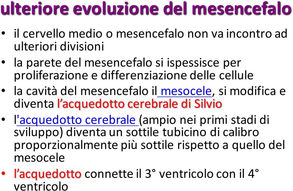 modifica e diventa l acquedotto cerebrale di Silvio l'acquedotto cerebrale (ampio nei primi stadi di sviluppo) diventa un