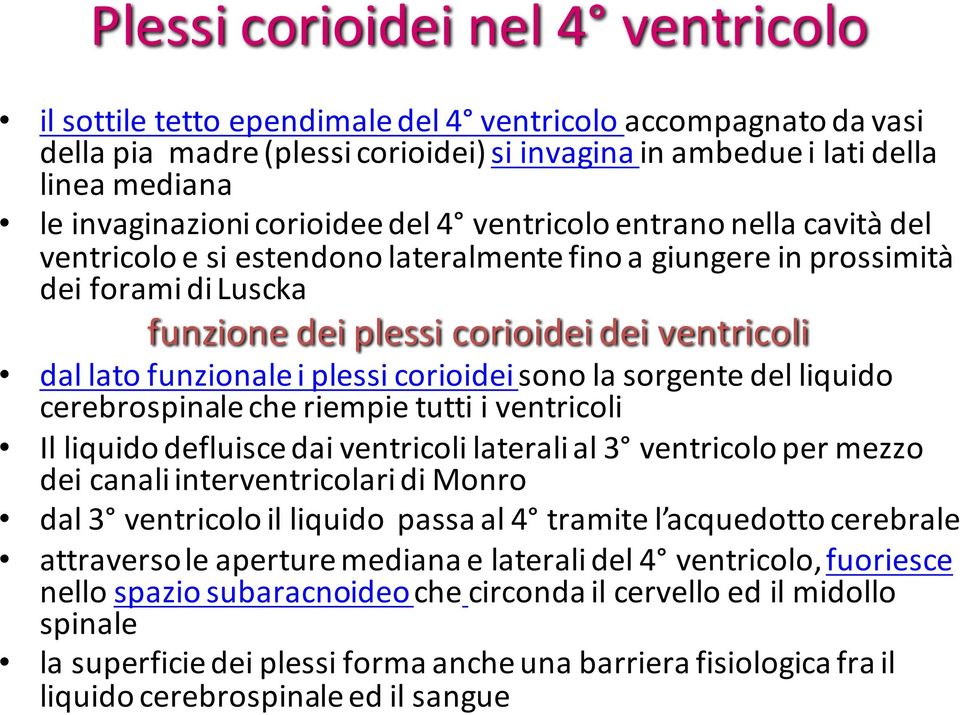 ventricoli dal lato funzionale i plessi corioidei sono la sorgente del liquido cerebrospinale che riempie tutti i ventricoli Il liquido defluisce dai ventricoli laterali al 3 ventricolo per mezzo dei