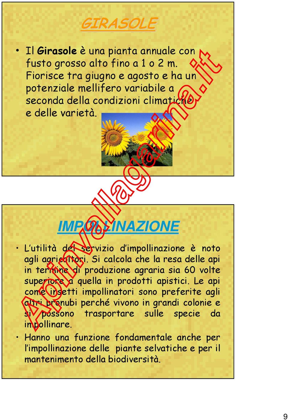 IMPOLLINAZIONE L utilità del servizio d impollinazione è noto agli agricoltori.