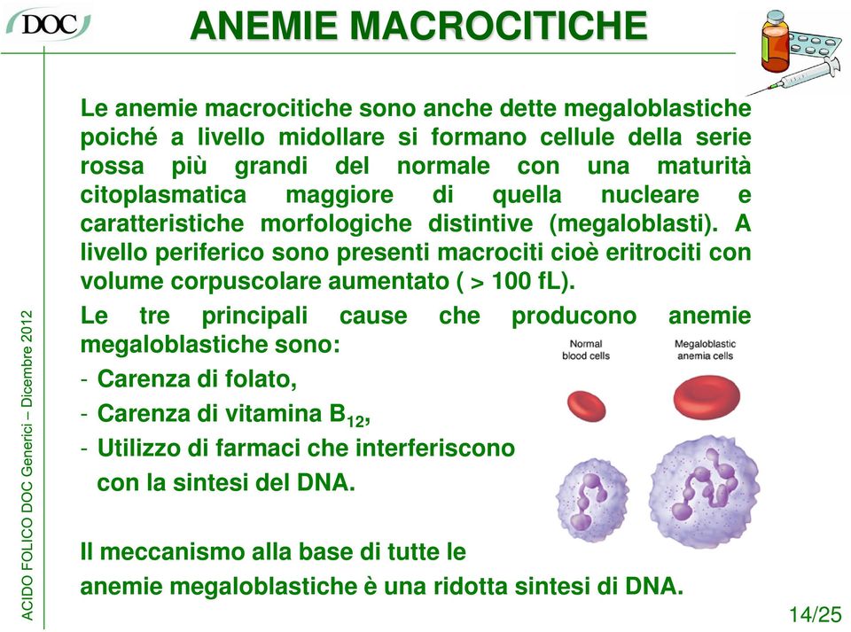 A livello periferico sono presenti macrociti cioè eritrociti con volume corpuscolare aumentato ( > 100 fl).