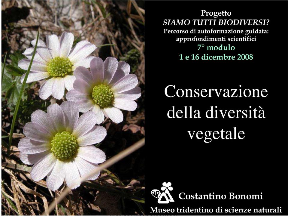 dicembre 2008 Conservazione della diversità vegetale Conservazione ex situ con