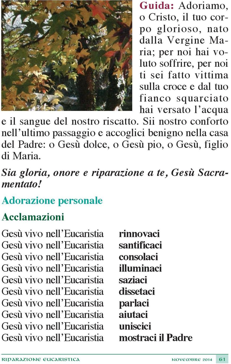 Sia gloria, onore e riparazione a te, Gesù Sacramentato!