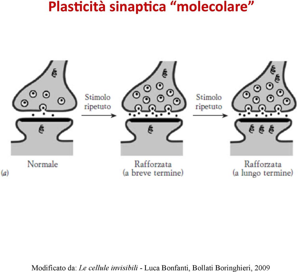 Le cellule invisibili -