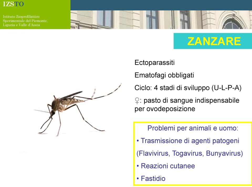 ovodeposizione Problemi per animali e uomo: Trasmissione di