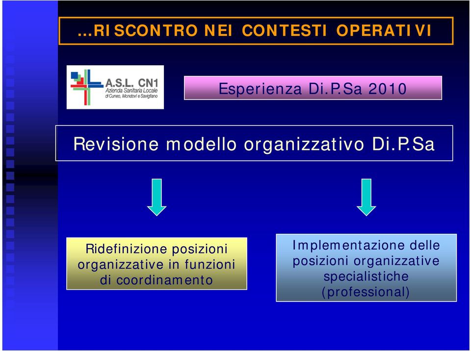 Sa 2010 Revisione modello organizzativo Di.P.