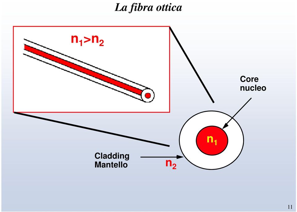 nucleo n 1